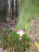 20181011_093039.jpg