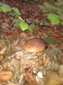 20181011_085825.jpg