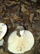 20181011_111323.jpg