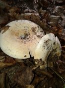 20181011_111518.jpg