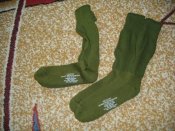 IMGP8305.JPG