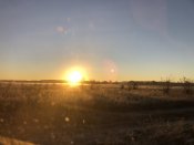 IMG_2741.jpg