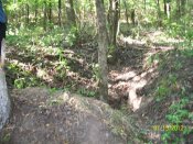 100_2446.jpg