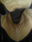 IMG_20181016_195335.jpg