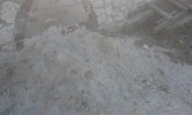 20181016_142753.jpg