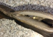 IMG_20181017_113534191.jpg