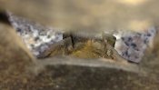 IMG_20181017_113347231.jpg