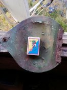 IMG_20181019_074549.jpg