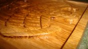 DSC08657.jpg