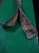 20181019_151107.jpg
