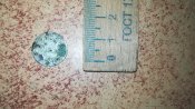 IMG_20181020_103154.jpg