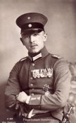 immelmann25[1].jpg