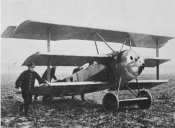18-fokker-dr-i[1].jpg