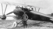 wolffandplane.gif