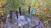 WP_20181021_15_32_30_Pro.jpg