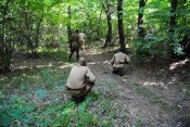 DSC_0162.jpg