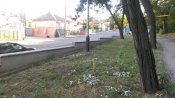 IMAG8884+.jpg