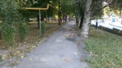 IMAG8886+.jpg