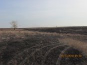 IMG_3068.JPG