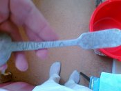 16072012136.jpg