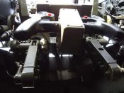 IMGP4385.jpg