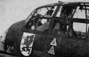 1-Emblem-LG1-on-a-Ju-88A-01.jpg