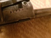 20181023_212946.jpg