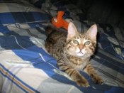 IMG_1623.JPG
