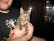 IMG_1641.JPG