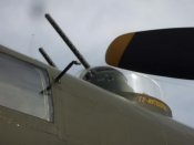 IMGP4442.jpg