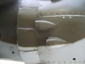 IMGP4445.jpg