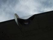 IMGP4455.jpg