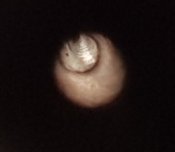 20181024_203610.jpg
