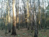 20181025_083336.jpg