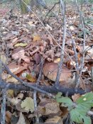 20181025_094145.jpg