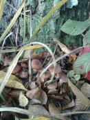20181025_085946.jpg
