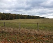 20181027_110855-01.jpeg