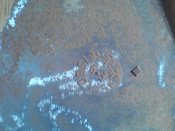 DSC03981.jpg