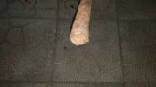 IMG_20181024_172600.jpg