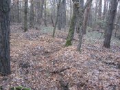 IMG_1954.JPG