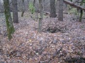 IMG_1957.JPG