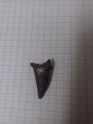 20181028_200127.jpg