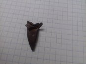 20181028_200053.jpg