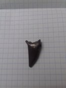 20181028_200004.jpg