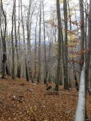 20181028_122501.jpg