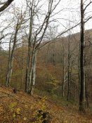 20181028_113054.jpg