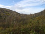 20181028_115725.jpg