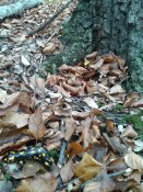 20181028_125914.jpg
