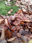 20181028_125138.jpg