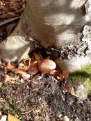 20181028_134649.jpg